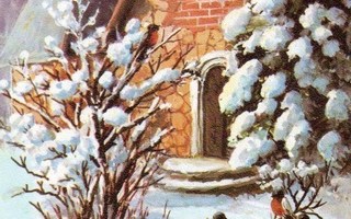 LINNUT / Punatulkut kirkon lumisella pihalla. 1980-l.