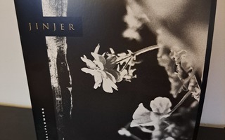 Jinjer Wallflowers LP vinyyli