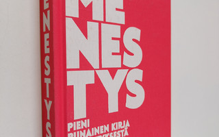 Matti Remes : Menestys : pieni punainen kirja menestyksestä