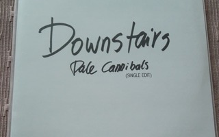 Downstairs PROMO CDR-SINGLE (SUOMI INDIE PUNK ROCK)
