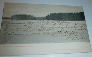 Kiuruvesi, Hinguniemen saari, vanha mv pk, p. 1905
