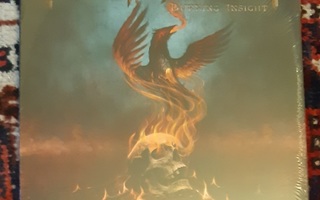 Frantic Amber – Burning Insight vinyyli LP