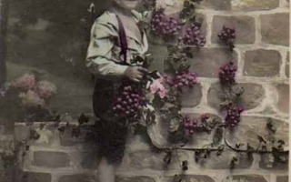 LAPSI / Vekkuli poika, tiilimuuri ja viiniköynnös. 1900-l.