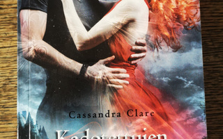Cassandra Clare: Kadotettujen sielujen kaupunki [Seven]