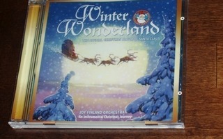 CD Winter Wonderland