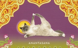 Kissa joogaa Anantasana (postikortti)