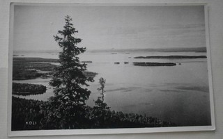 Koli, järvimaisema, valokuvapk SMY N:o 1205, p. 1950