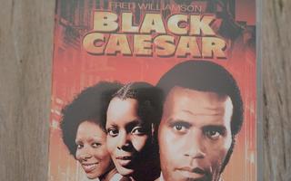 Fred Williamson: BLACK CAESAR