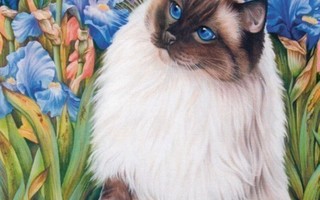 Irina Garmashova: Kissa ja liljat