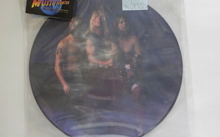 SPINAL TAP - BREAK LIKE THE WIND M- PICTURE VINYL