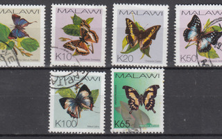 MALAWI perhosia