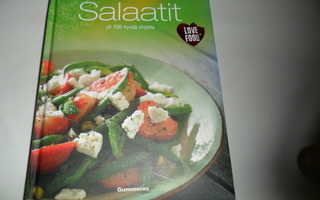 Love Food Salaatit yli 100 hyvää ohjetta
