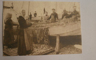 Eesti, Aksi-saaren kalastajia työssä 1905, kortti 2000-l.