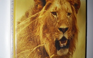 (SL) UUSI! DVD) Leijonien matkassa - (National Geographic)