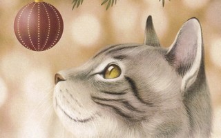 Noora Aalto: Kissa ja joulupallo