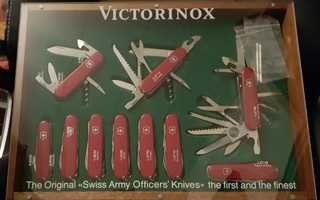 Victorinox