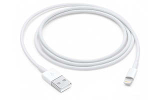 Apple Lightning to USB Cable (1? m)