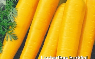 Porkkana "Lobo" siemenet