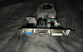 Näytönohjain - PNY GeForce GT430 1GB