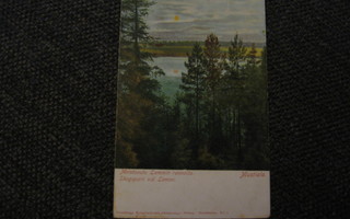 Metsäseutu Lammin Rannalla. Kulkenut v. 1906