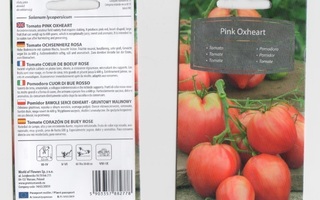 Tomaatti siemenet - Pink Oxheart