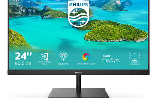 Philips E Line 245E1S/00 LED display 60,5 cm (23