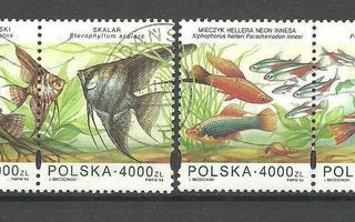 KALAT akvaariokaloja eläinaiheinen sarja PUOLA 1994 o