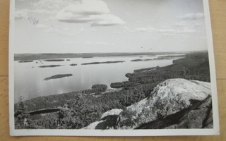 VANHA Postikortti Koli Yläkoli Rivileima 1955