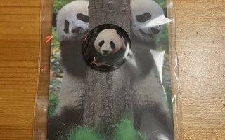 Panda pinssi