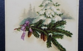 Vanha Närpes-joulukortti autonomian ajalta 2 merkkiä 1911