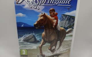 Springdale - Wii peli