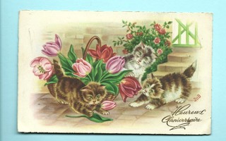 Vanha kortti: Kissat ja tulppaanit