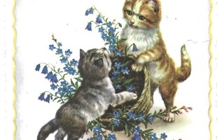 Vanha kortti: Kissat ja kissankellot, -67
