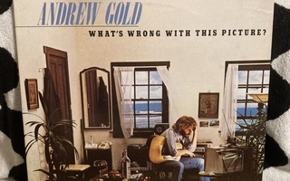 Andrew Gold – What's Wrong With This Picture? LP