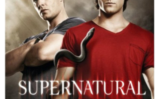 Supernatural  (Kausi 6)  DVD