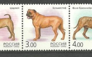 KOIRAT koiria eläinaiheinen sarja VENÄJÄ 2002 **