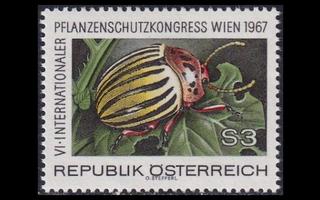 Itävalta 1243 ** Kasviensuojelukonferenssi (1967)