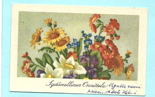 Vanha kortti: Narsissit, esikot, ym