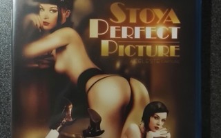 Digital Playground: Stoya - Perfect Picture _w0408
