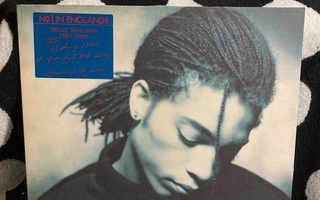 Terence Trent D'Arby – Introducing The Hardline According LP