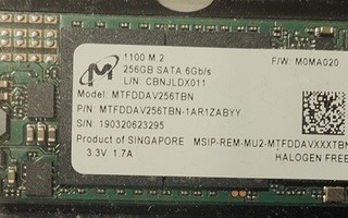 Micron 256 GB SSD M2