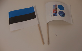 2 kpl Viron lippuja, 100 v logo