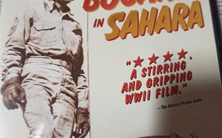Sahara - Humphrey Bogart - DVD