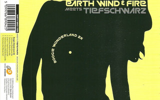 Earth Wind & Fire Meets Tiefschwarz - Boogie Wonderland 2K