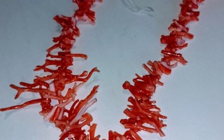 Korallikaulakoru 40 cm