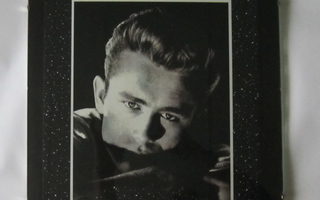 James  Dean,  kuva  vaihtokehyksessä  30 x 40  cm.