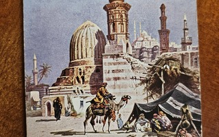 Cairo kameli