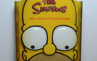 Simpsonit kausi 6 DVD boxi