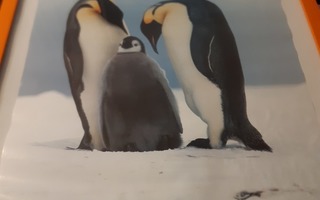 Pingviiniperhejulistetaulu