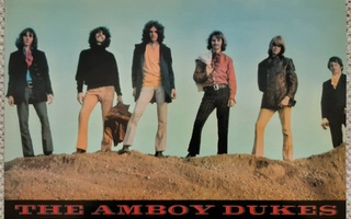 Amboy Dukes reissue LP M-